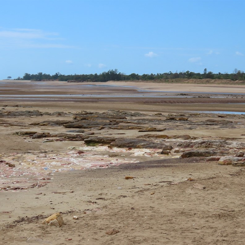 Nightcliff