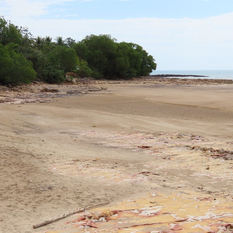 Nightcliff 2