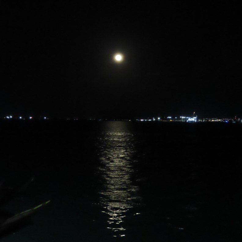 Moonlight on the water