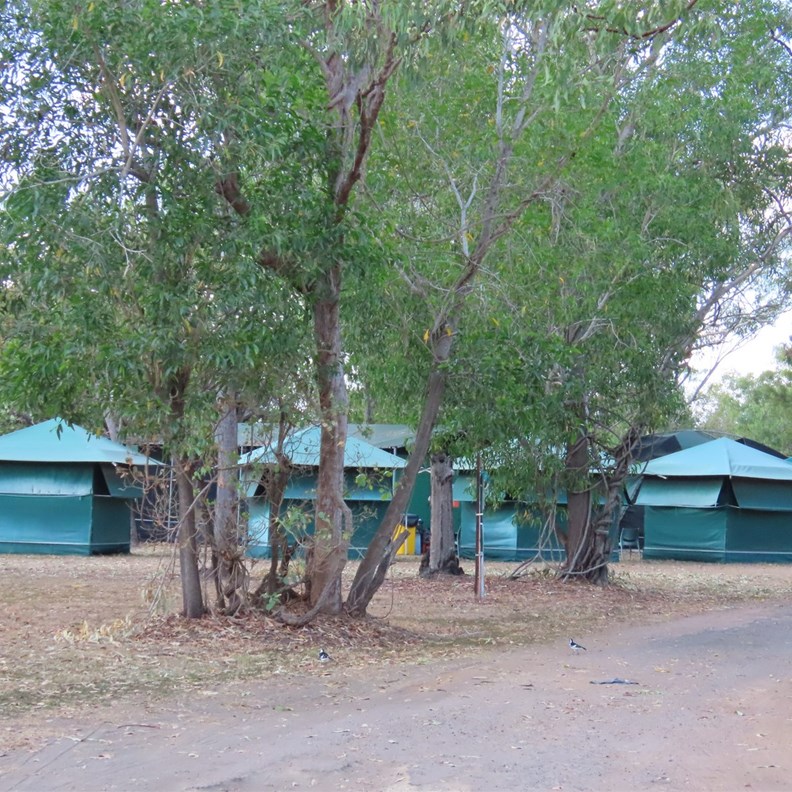 Various Tents for tour companies