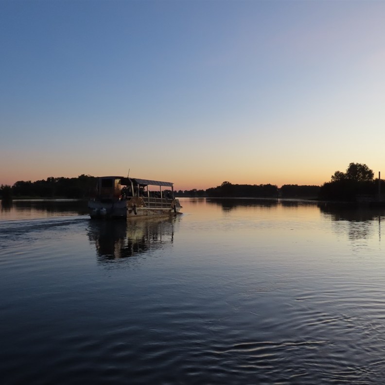 Yellow Water Sunrise 