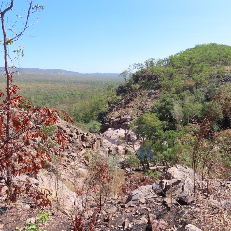 View from above the pools
