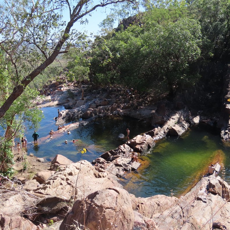 View of the pools 