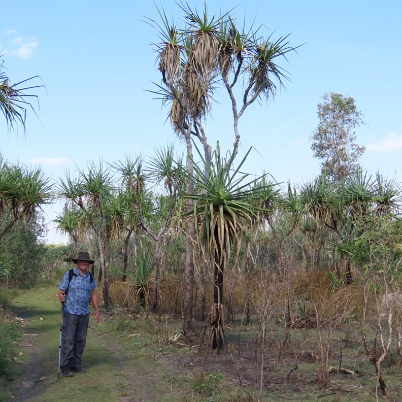 Mamukala Wetlands