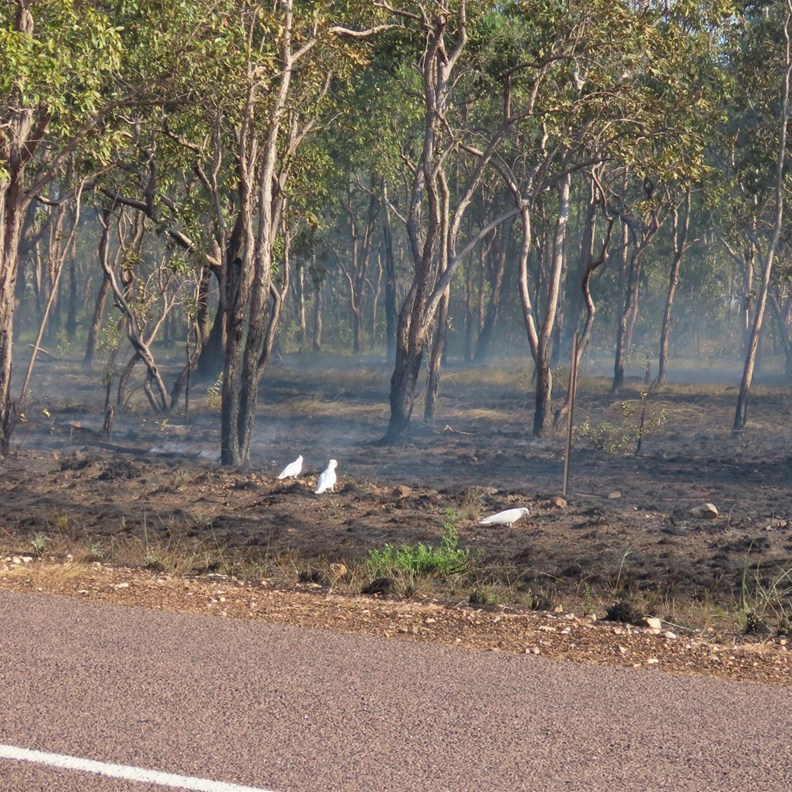 After the fire