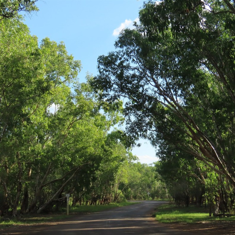 Only 600-800 metres up the road a lush green area