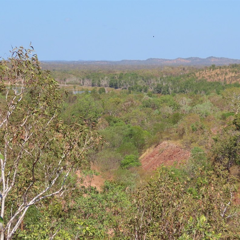 Pine Creek Lookout