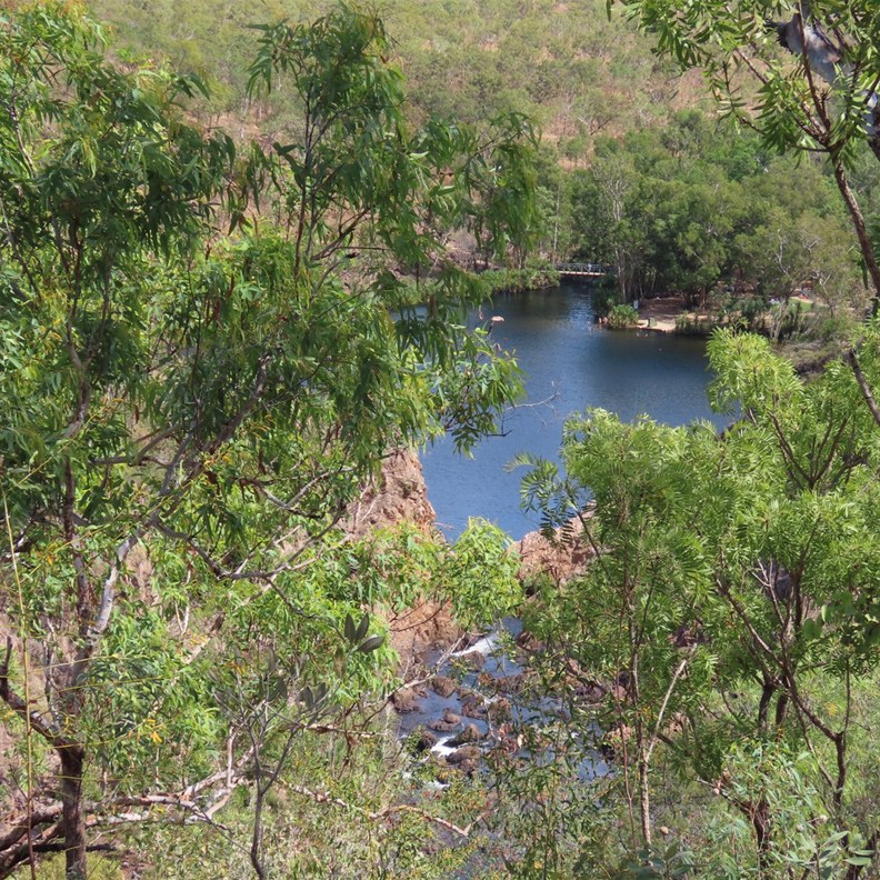 View down to bottom plunge pool Edith Falls