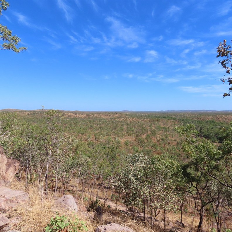 Edith Falls 4