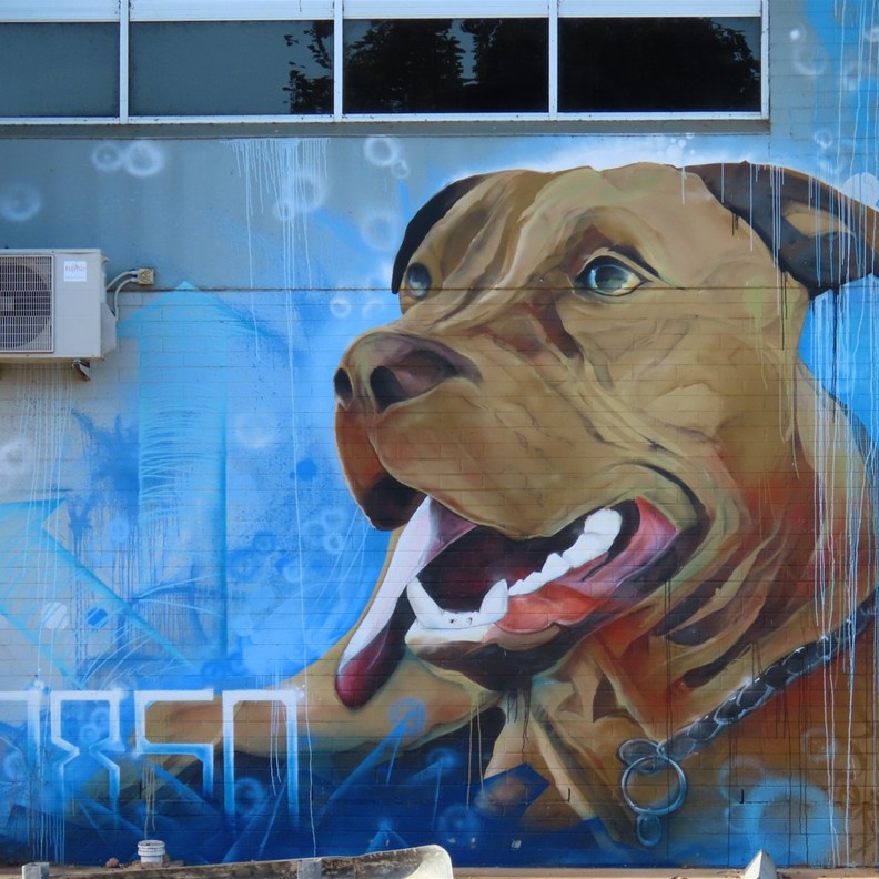 Katherine Street Art 3