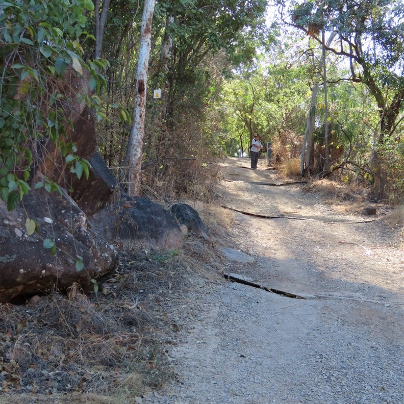 Baruwei Lookout and Loop Walk 2