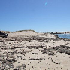 By the edge of Hunter Creek