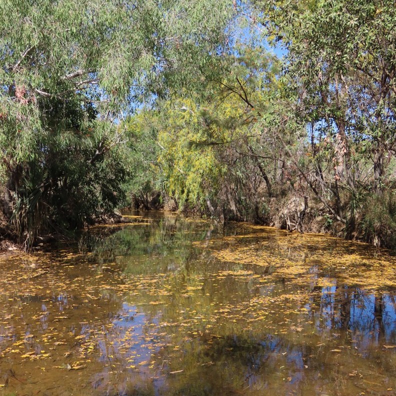 Umbrawarra Gorge Nature Park 8