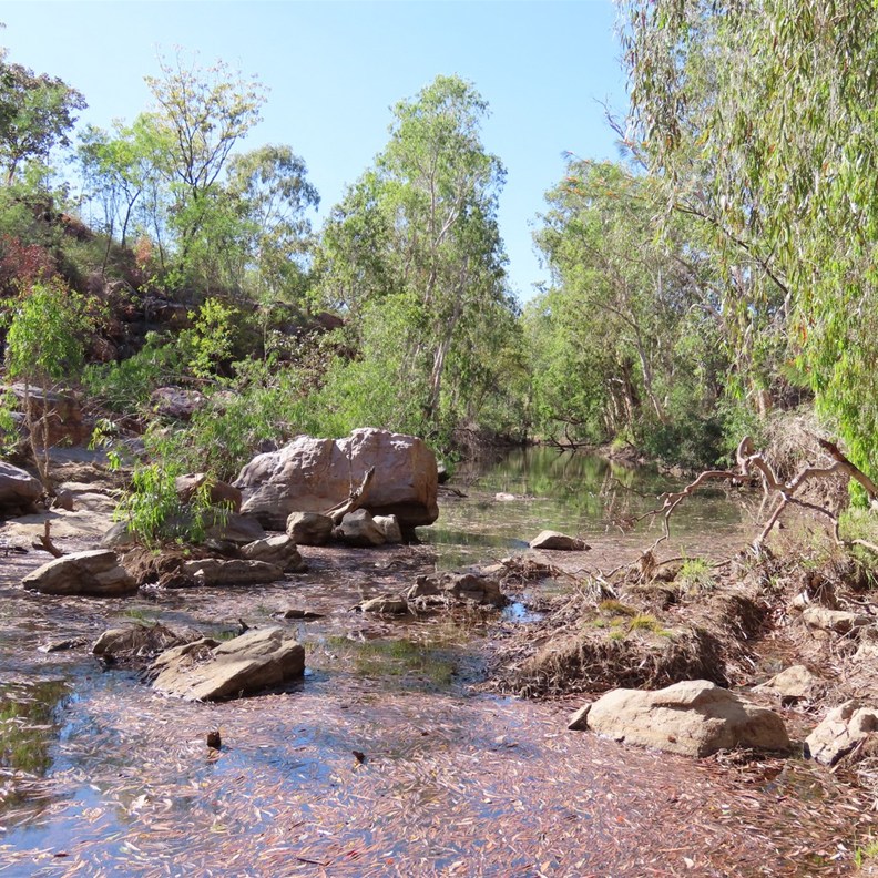 Umbrawarra Gorge Nature Park 2