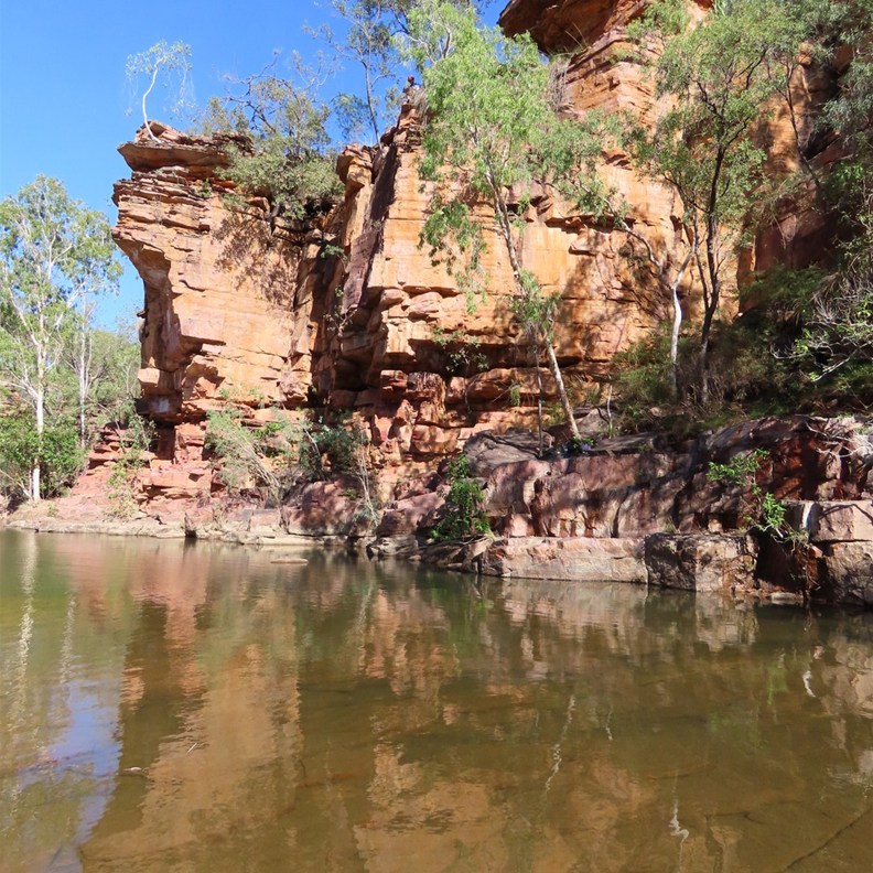 Umbrawarra Gorge Nature Park 6