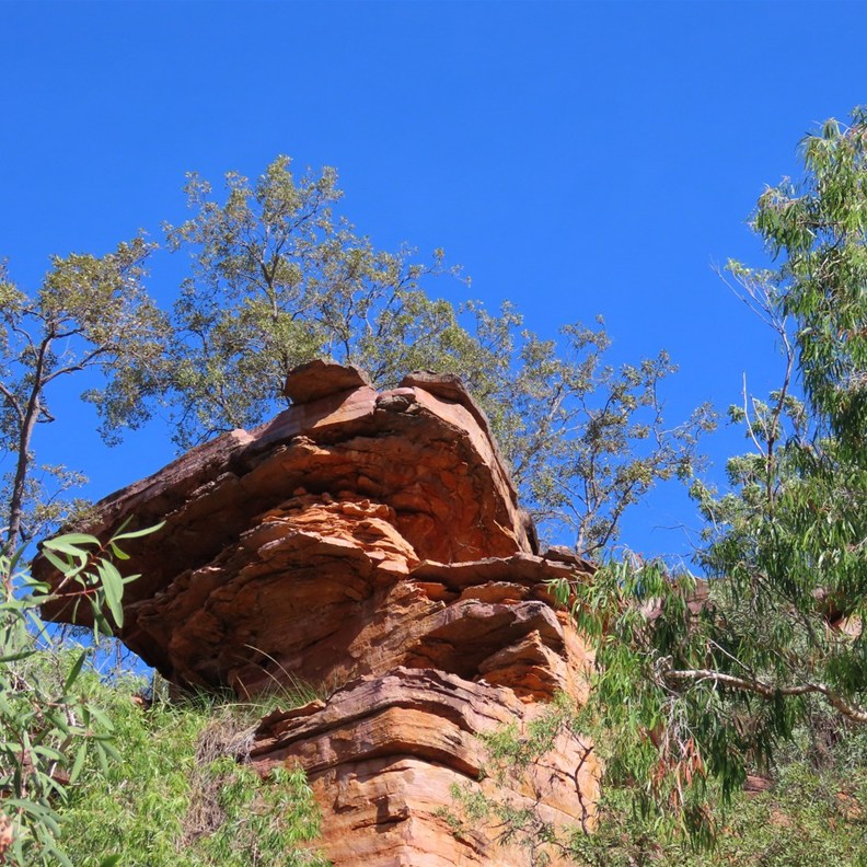 Umbrawarra Gorge Nature Park 7