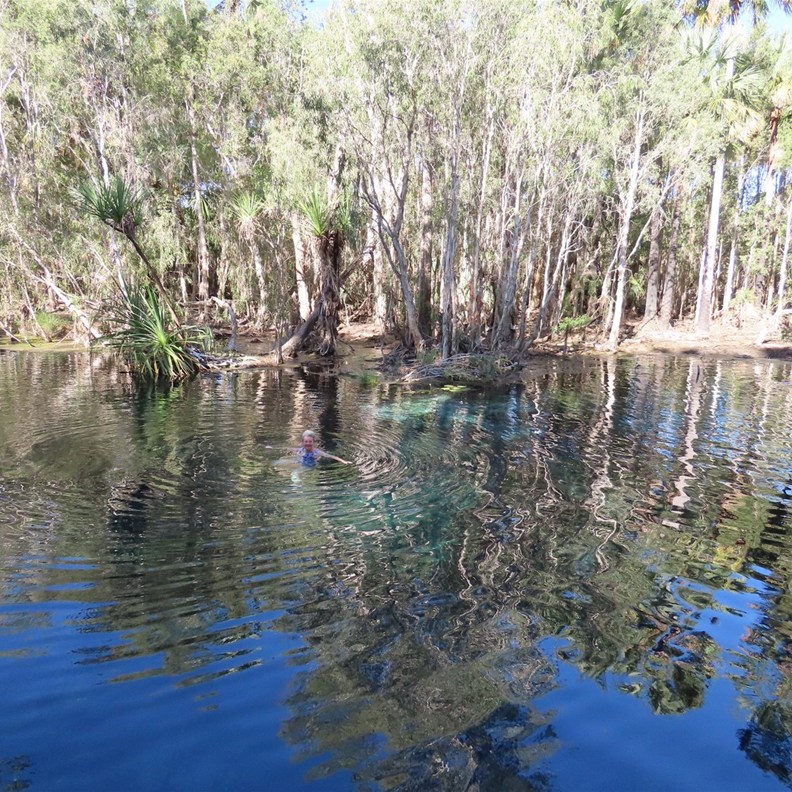 Mataranka Hot Springs