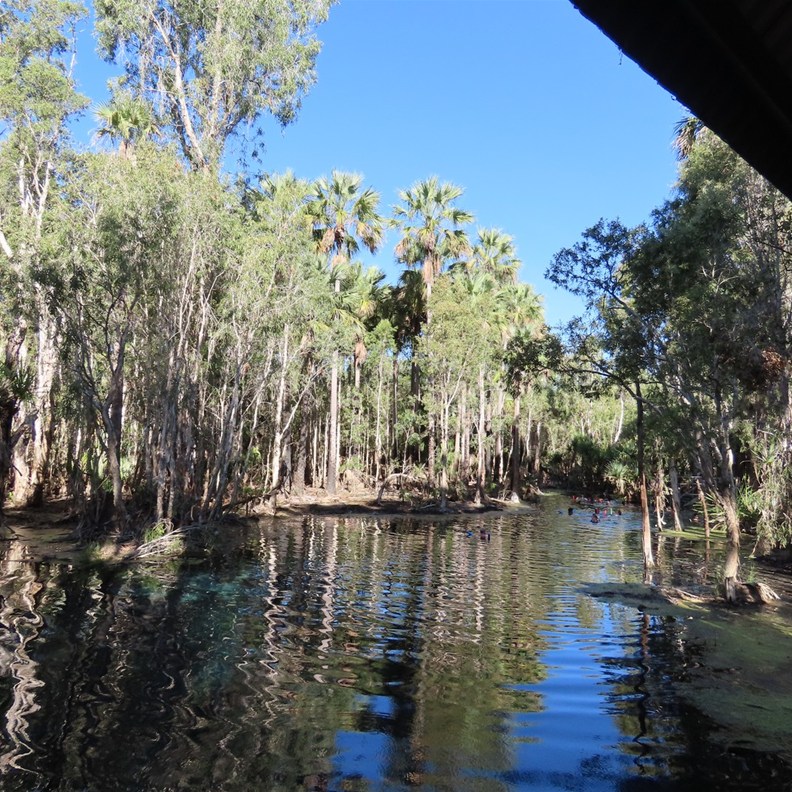 Mataranka Hot Springs 5