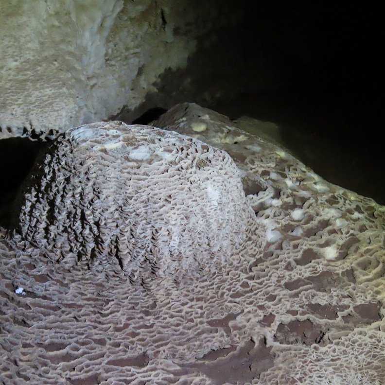 Cutta Cutta Cave 3