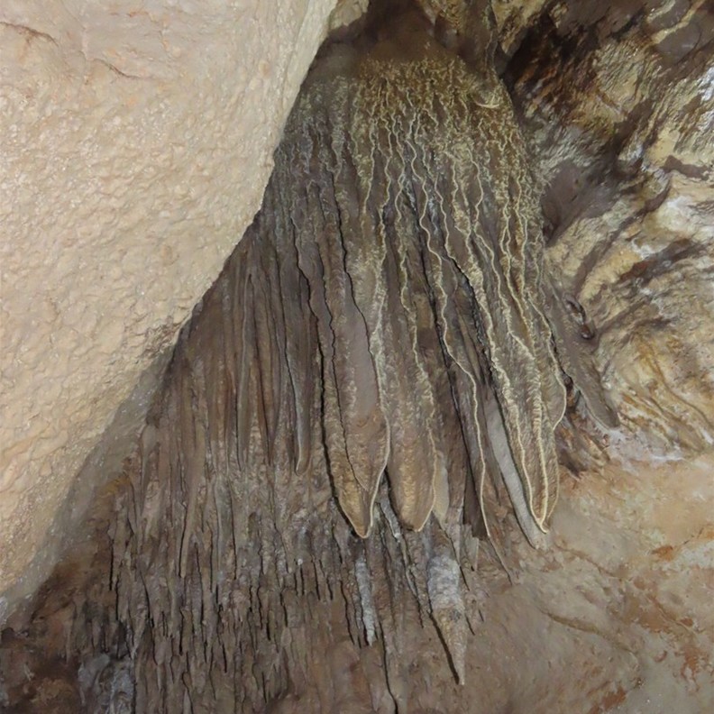 Cutta Cutta Cave 6