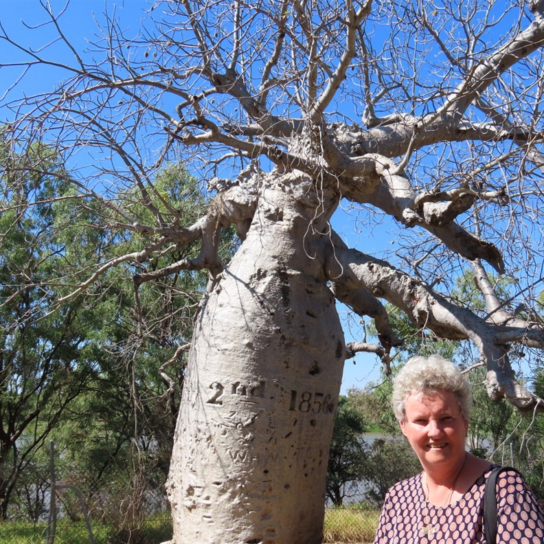 Gregory Tree