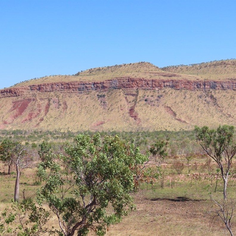 Lee Richardson Lookout 
