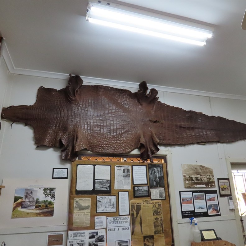'Bismarck' the croc 70 years old weighing over 1 tonne