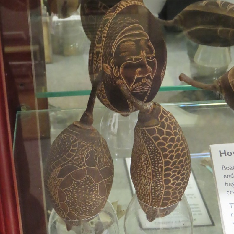 Boab Nut Carvings