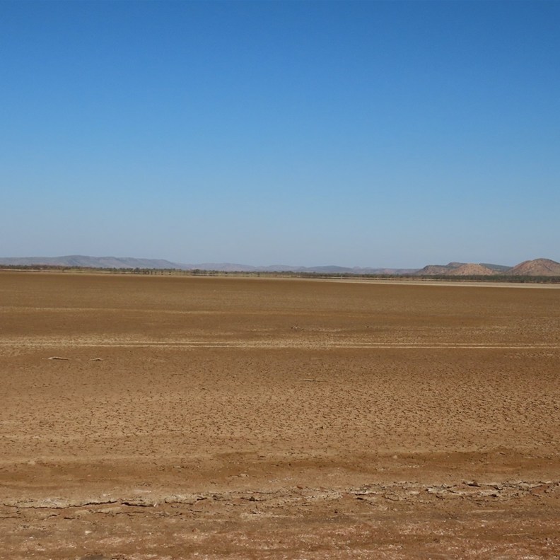 Tidal Mudflats