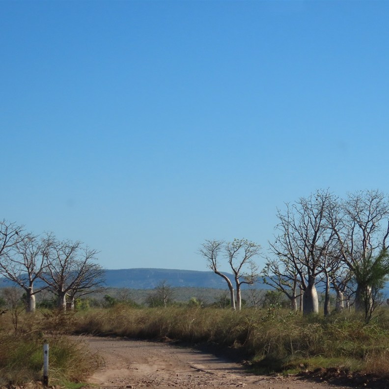 Drive to the Rockart Site