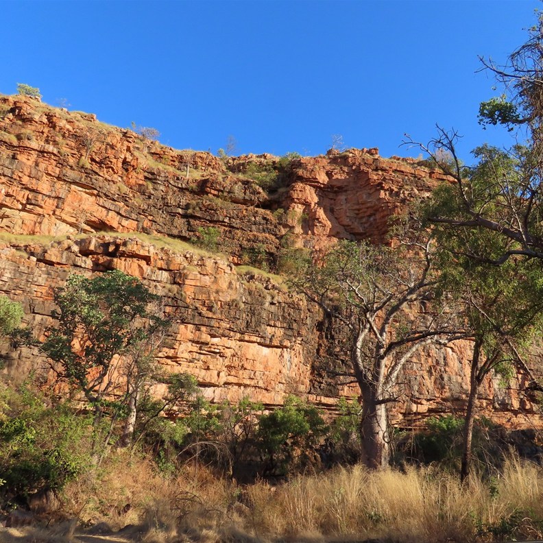 Rockart Site