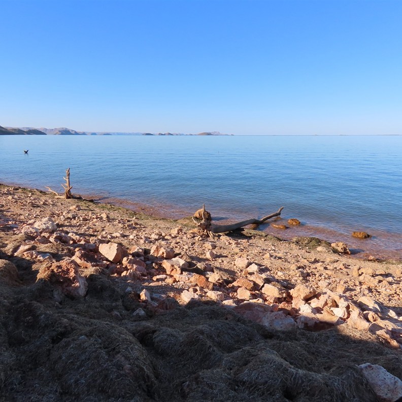Lake Argyle 6