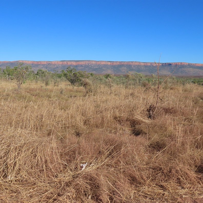 Cockburn Ranges