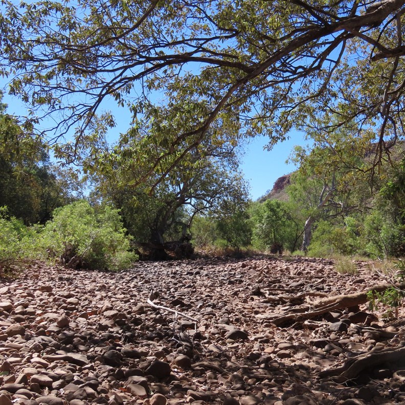 The road after crossing the creek