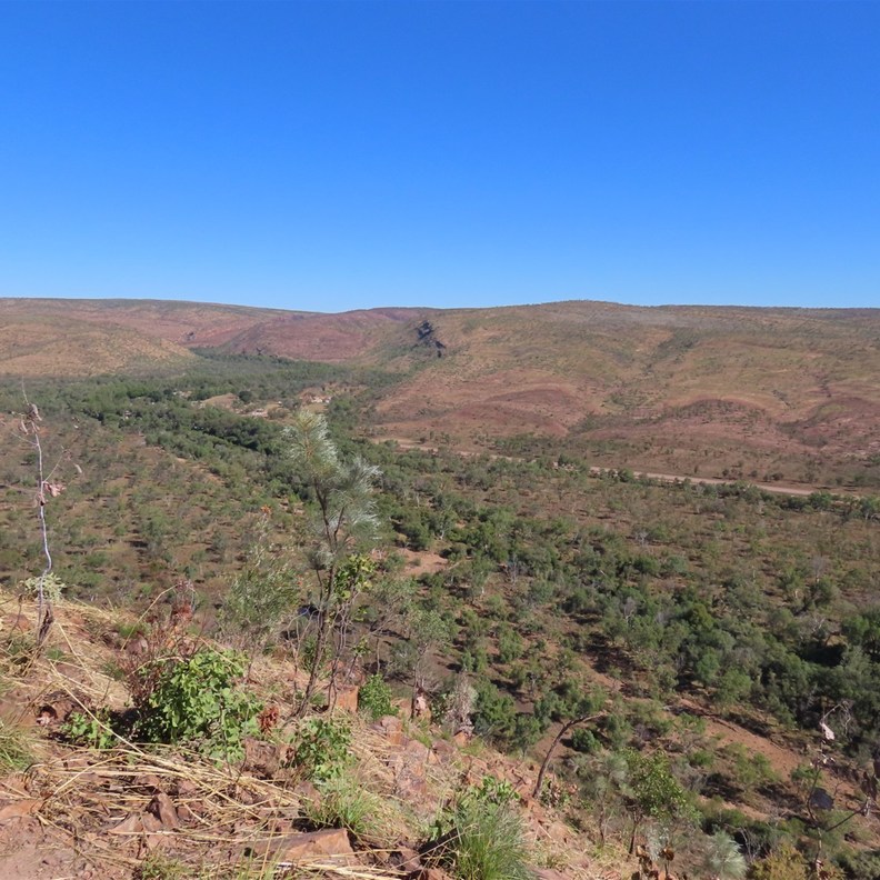 Saddleback Ridge Lookout