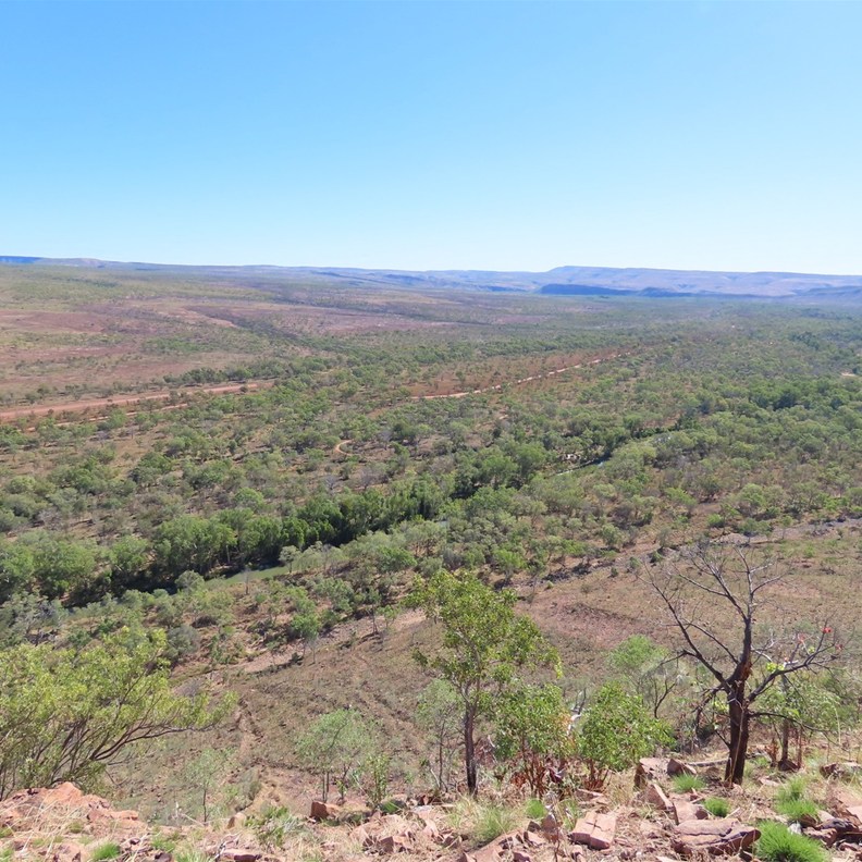 Saddleback Ridge Lookout 3