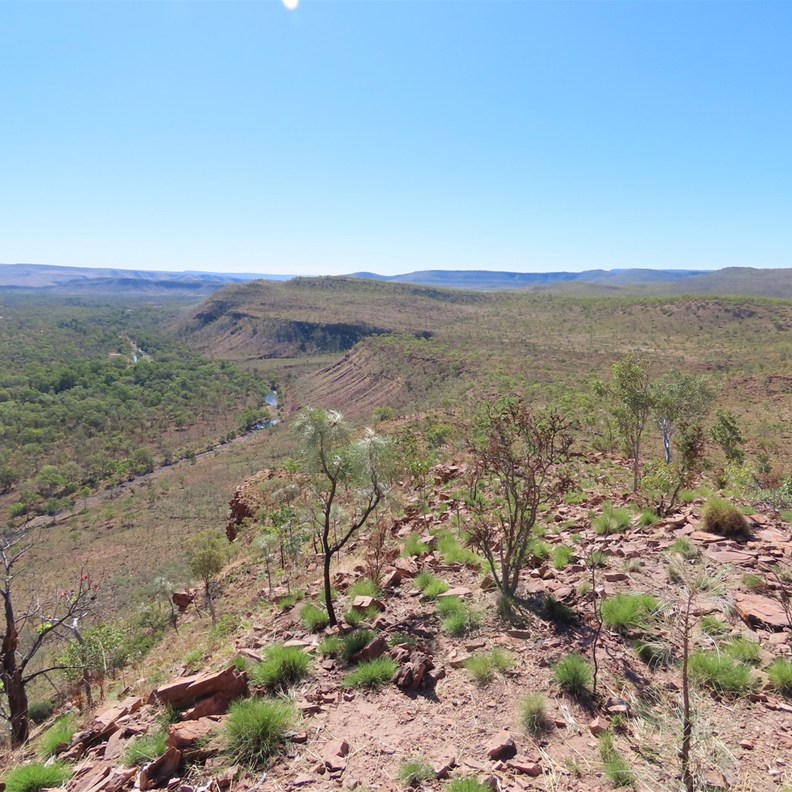 Saddleback Ridge Lookout 4