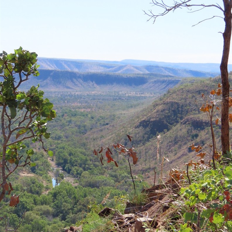 Saddleback Ridge Lookout 5