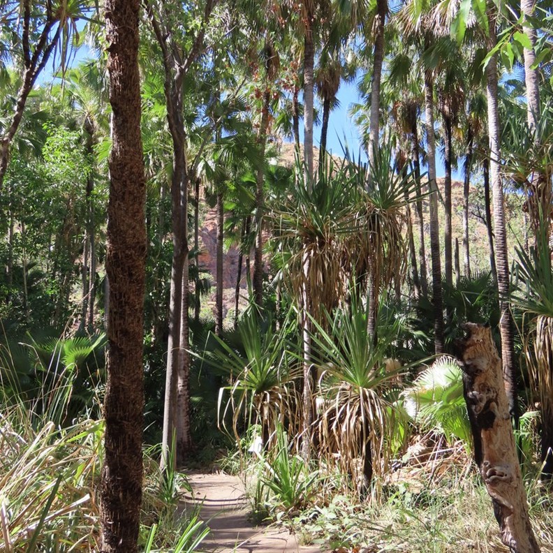 Path the Zebedee Springs 