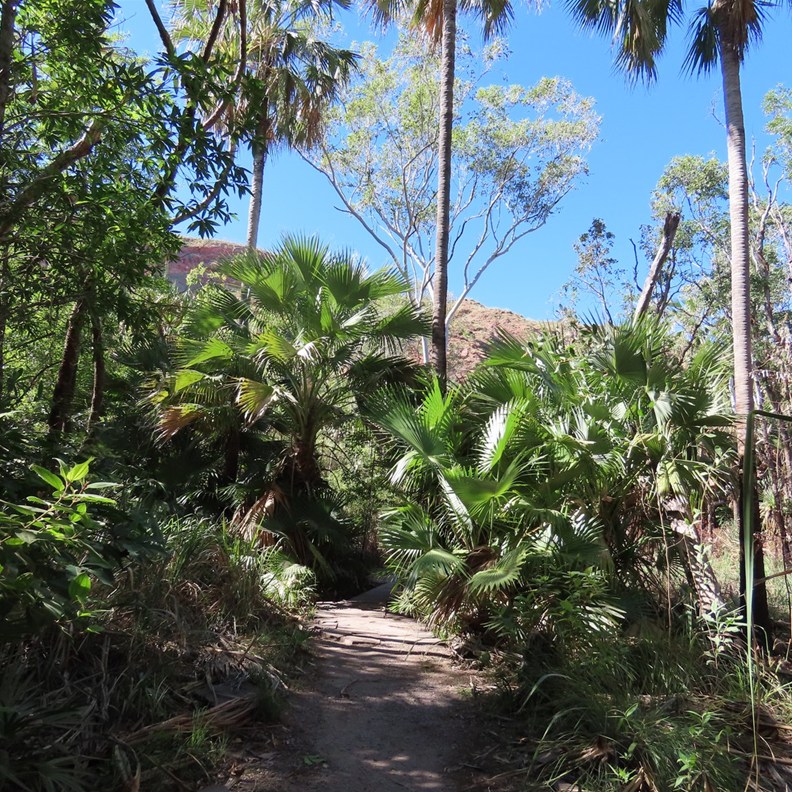 Path the Zebedee Springs 2