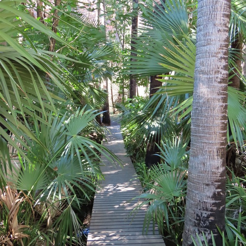 Path the Zebedee Springs 3