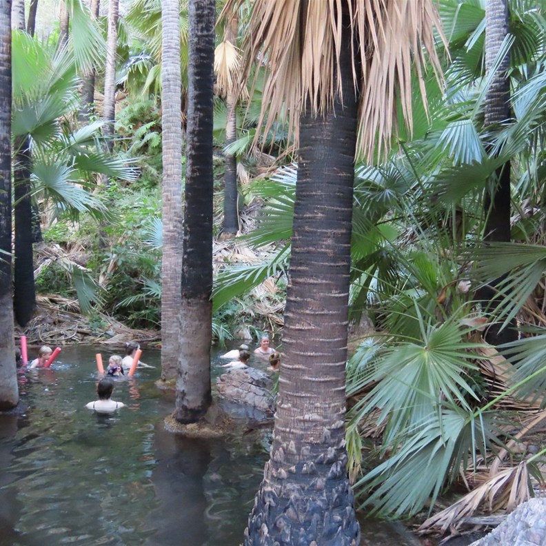 Zebedee Springs