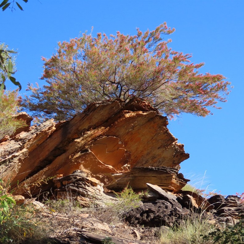 Mirima National Park 8