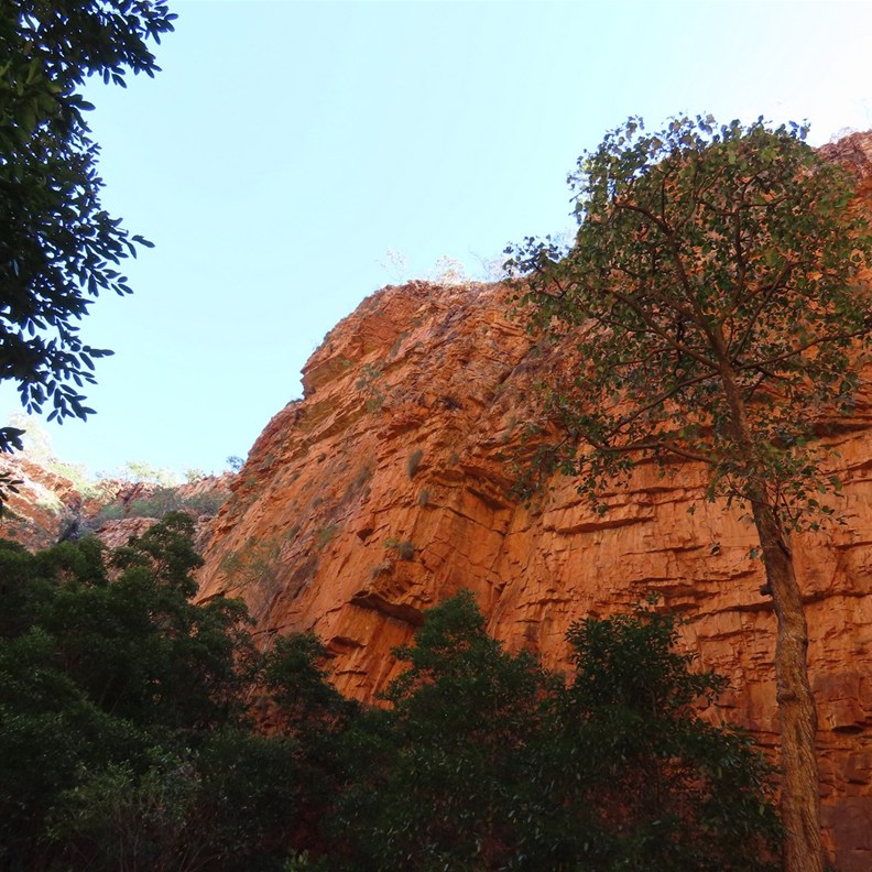 Emma Gorge 11