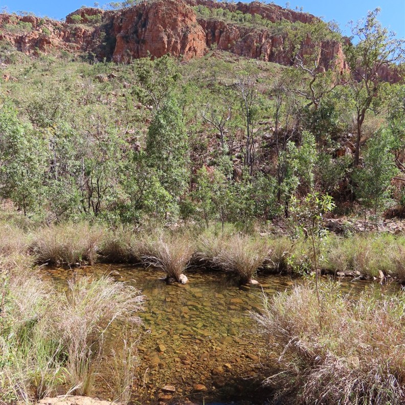 Emma Gorge 3