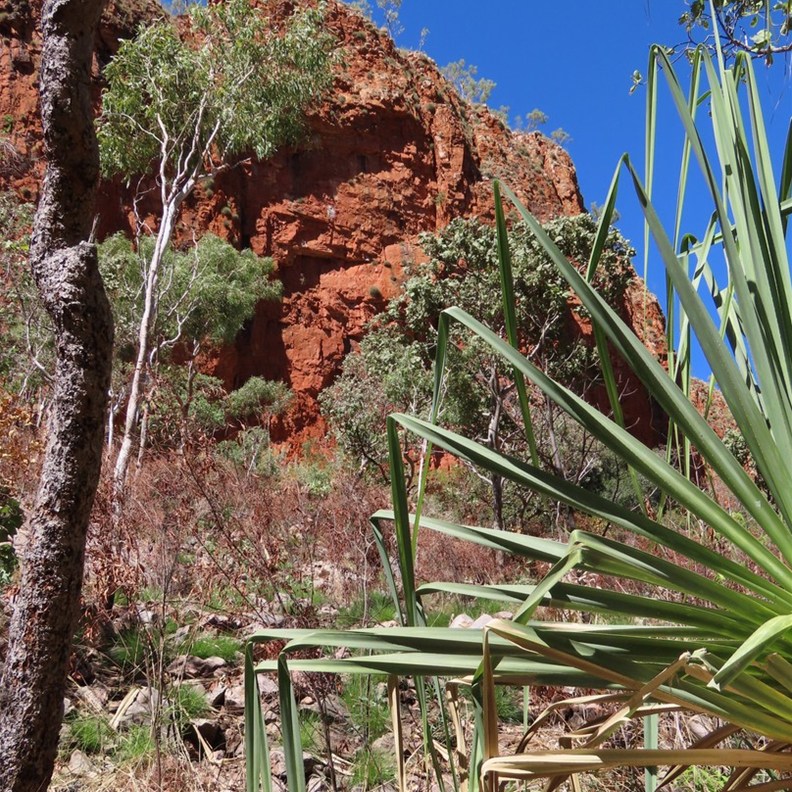 Emma Gorge 8