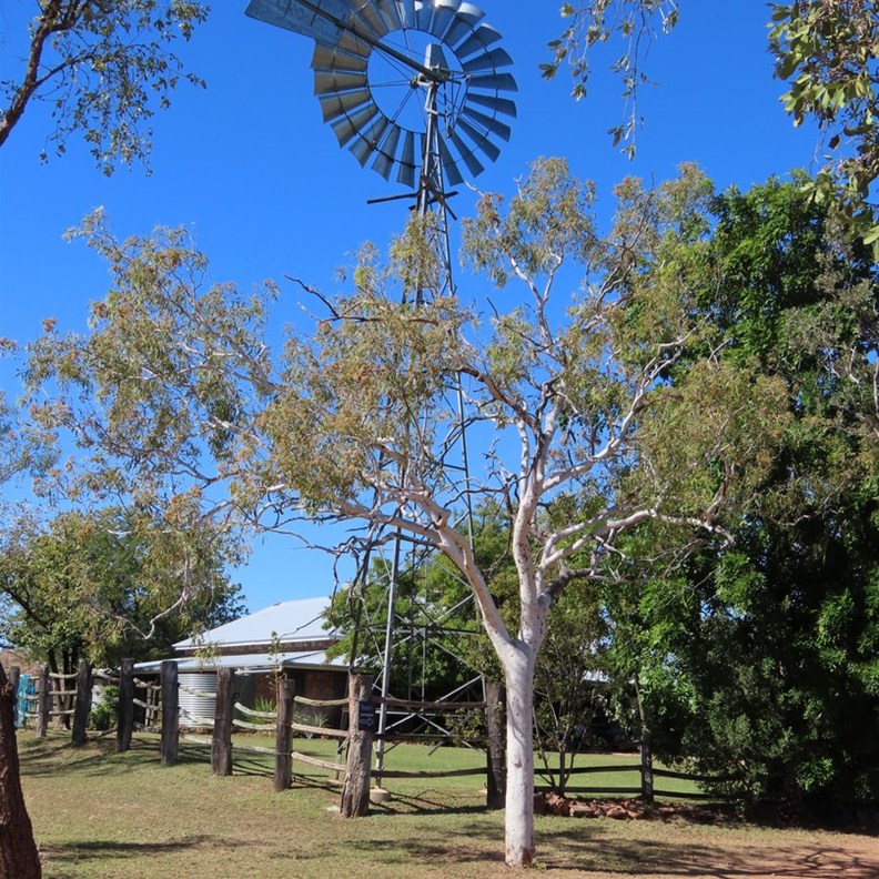 Argyle Homestead Museum