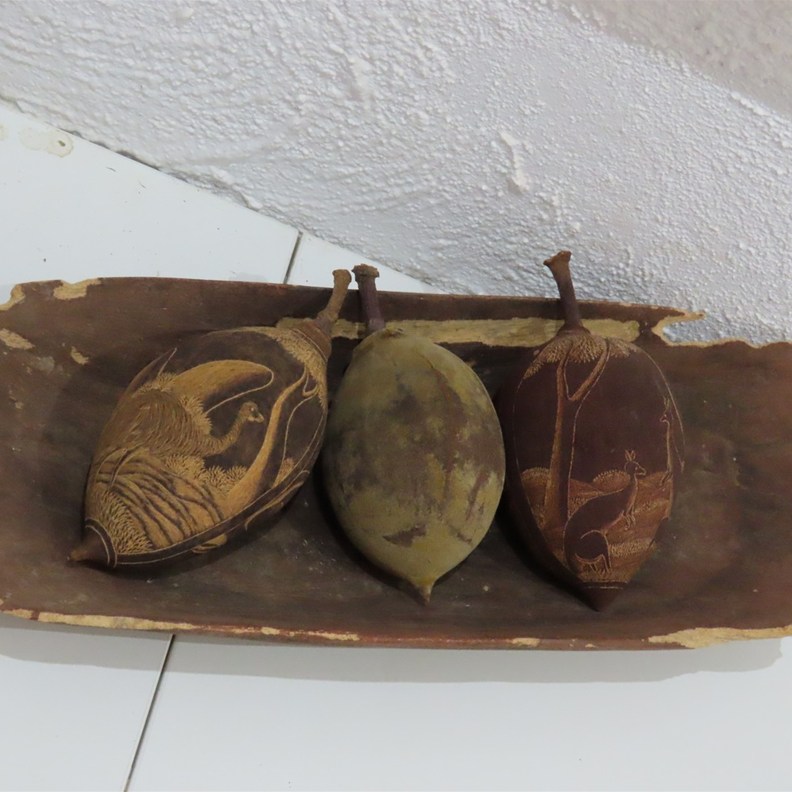 Boab fruit/nut carvings