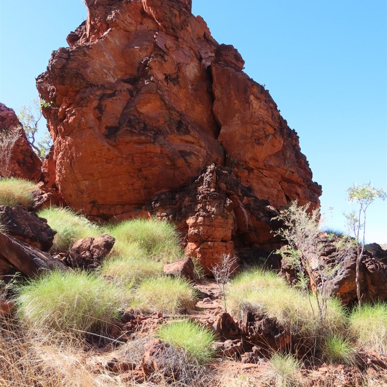 Stop on the way to Lake Argyle 2