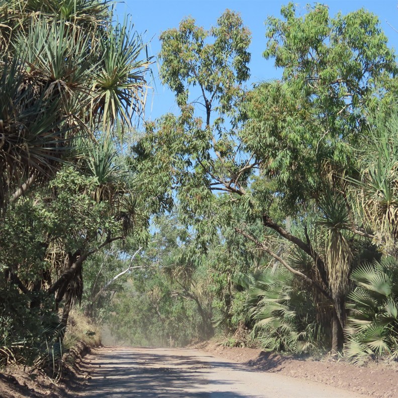 Drive into El Questro to the cruise